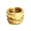 Brass PPR Fittings Brass PPR Inserts Factory