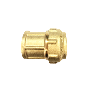 Brass Straight Female Compression Coupling for PE pipe