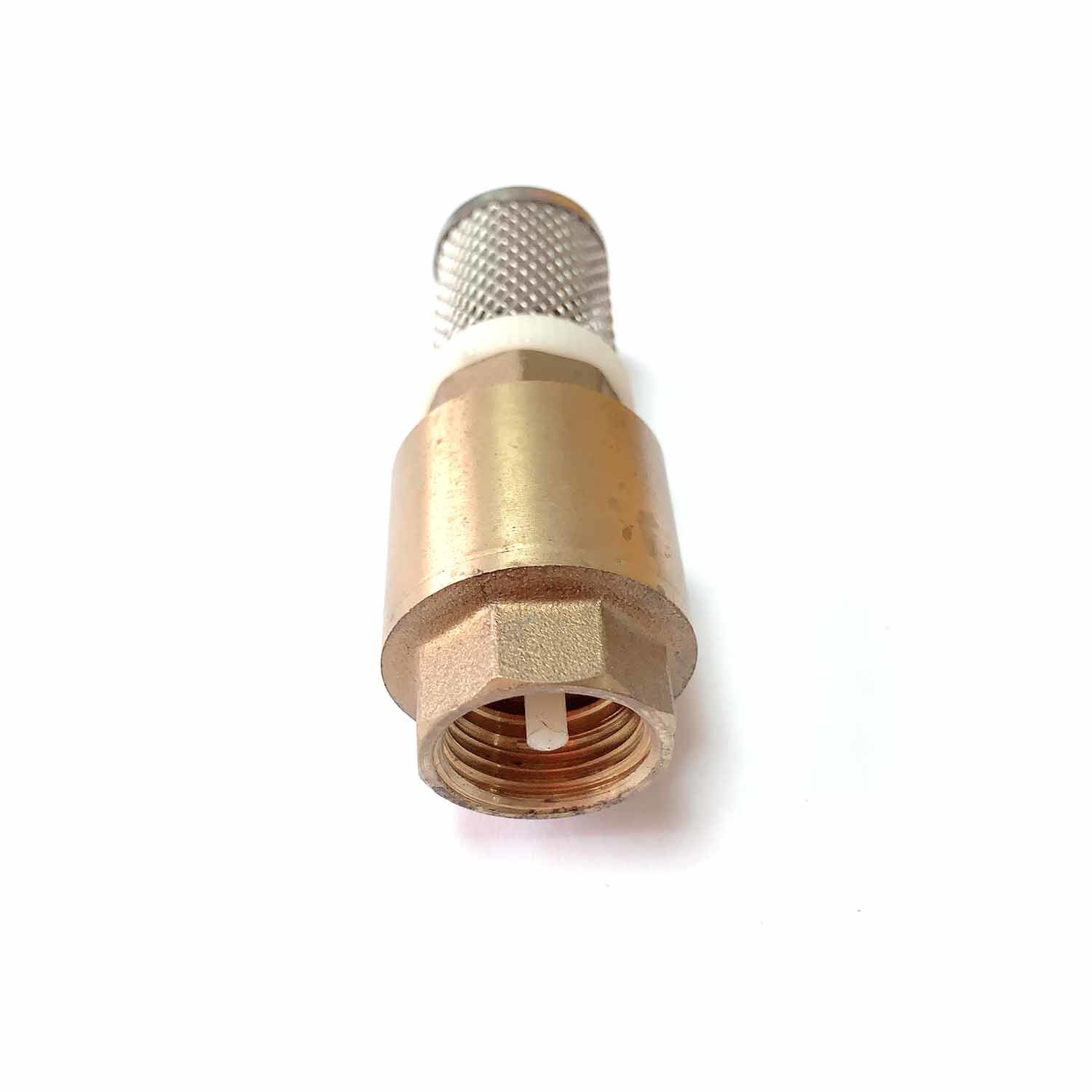 Forged Brass Vertical Spring Check Valves with Stainless Steel Filter