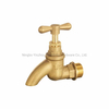 Brass Casting Bib Tap of Polishing