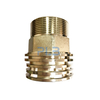 Brass PPR/CPVC Inserts Fittings Offered in China