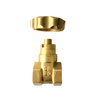 Brass Magnetic Lockable Gate Valve Manufacturer (HG25)