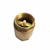 Brass Non Return Vertical Spring Check Valve with Brass Core