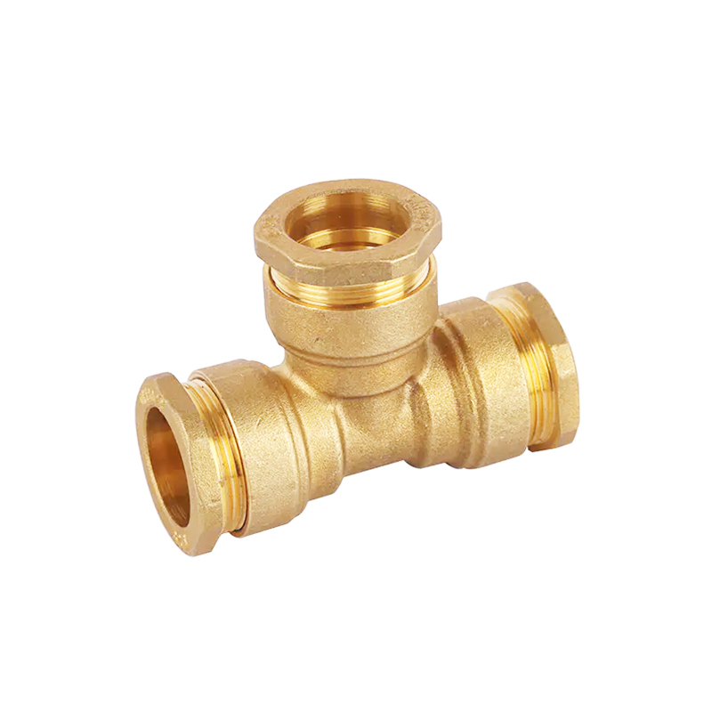 Brass Female Straight Compression Fitting for HDPE Pipe