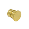 Lead Free Brass Exp Pex Plug