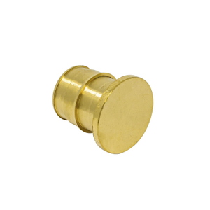 Lead Free Brass Exp Pex Plug