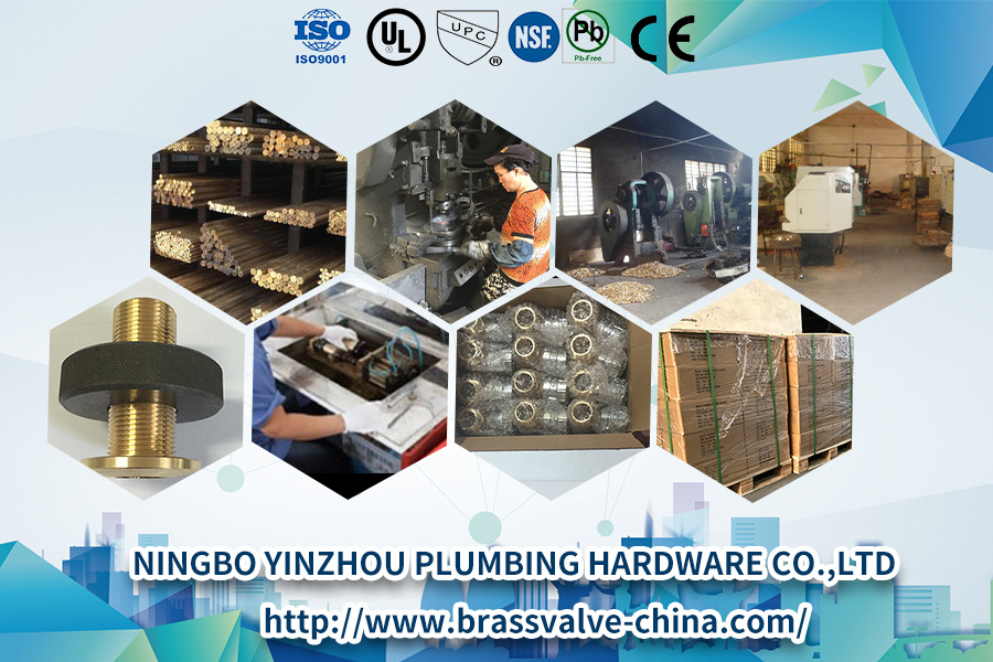 Brass Male Straight Union for HDPE Pipe