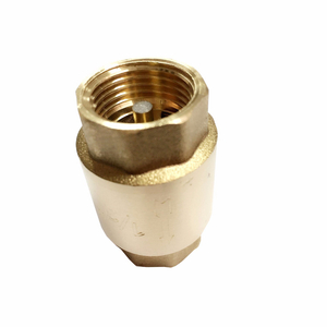 Brass Non Return Vertical Spring Check Valve with Brass Core