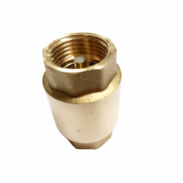 Brass Non Return Vertical Spring Check Valve with Brass Core