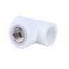 PPR Pipe Fitting for Cold and Hot Water