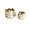 Brass PPR/CPVC Inserts Fittings Offered in China