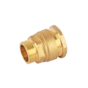 DIN8076 Brass Straight Male Coupling PE Pipe