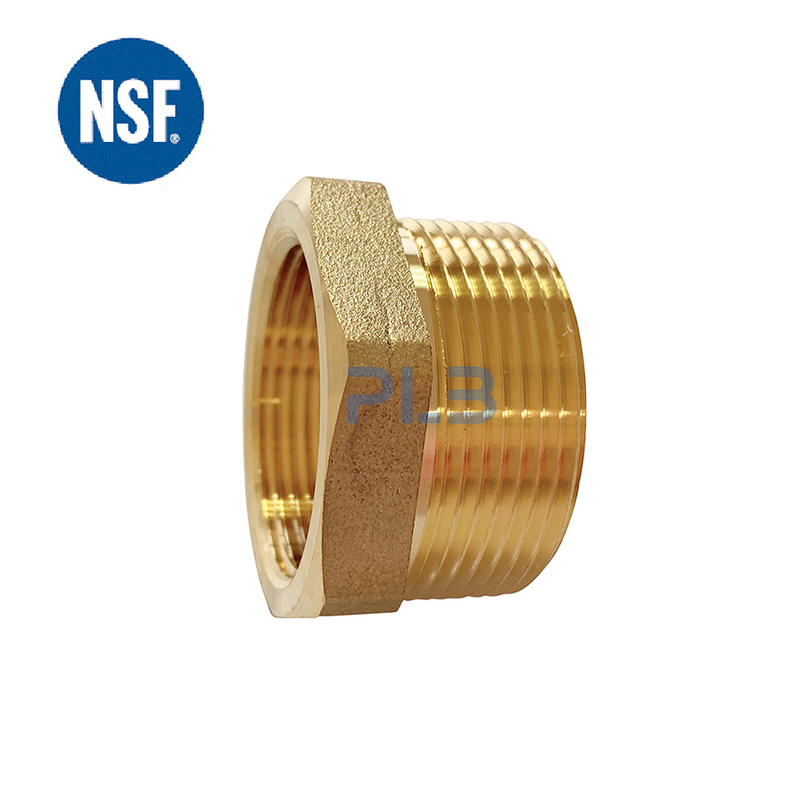 NSF61 Approved Lead Free Brass Meter Bushing